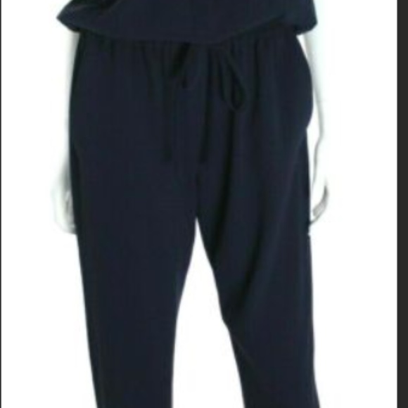 Aritzia Babaton Donnie Jumpsuit - Picture 3 of 4